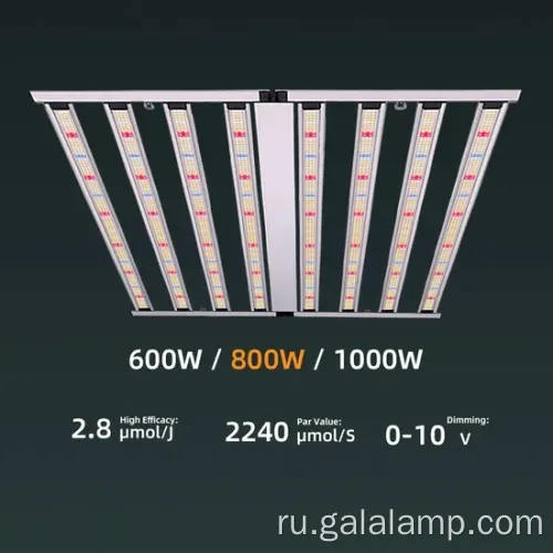 Улучшение фотосинтеза с помощью светодиодного светодиода Premium Grow